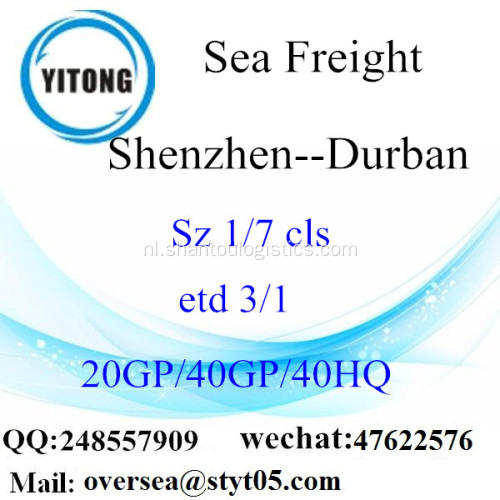 Shenzhen poort zeevracht verzending naar Durban